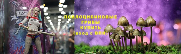 круглые Лабытнанги