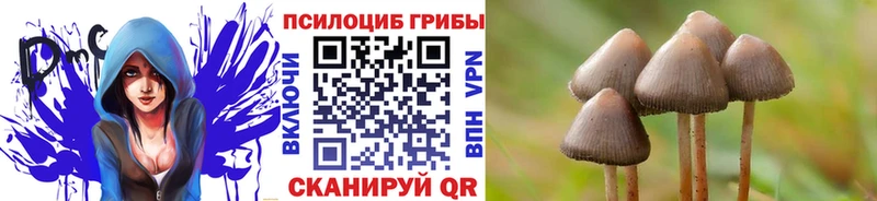 Псилоцибиновые грибы GOLDEN TEACHER  нарко площадка официальный сайт  Железногорск-Илимский 