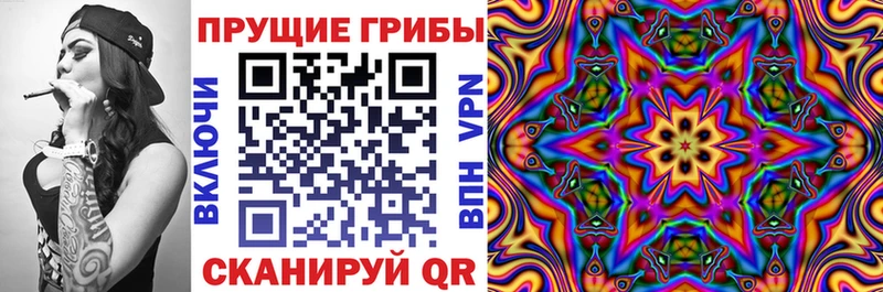 Псилоцибиновые грибы Psilocybe Железногорск-Илимский